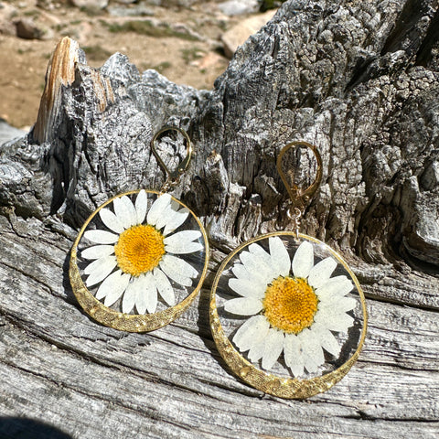 Daisy Flower Earrings - BG 166