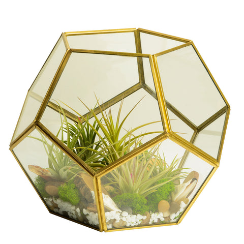Nature Inspired Geometric Gold Glass Terrarium