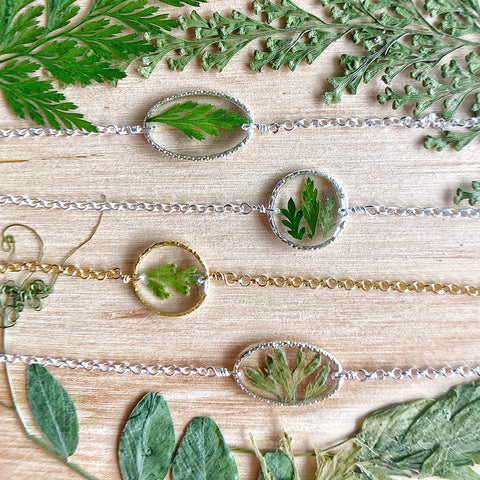 🌿Fern Love - BG35