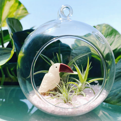 Cockatoo Bird Rose Quartz Terrarium