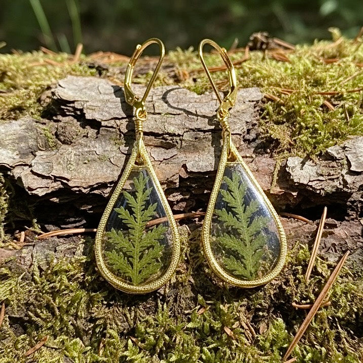 Natural Fern Earrings - BG 305
