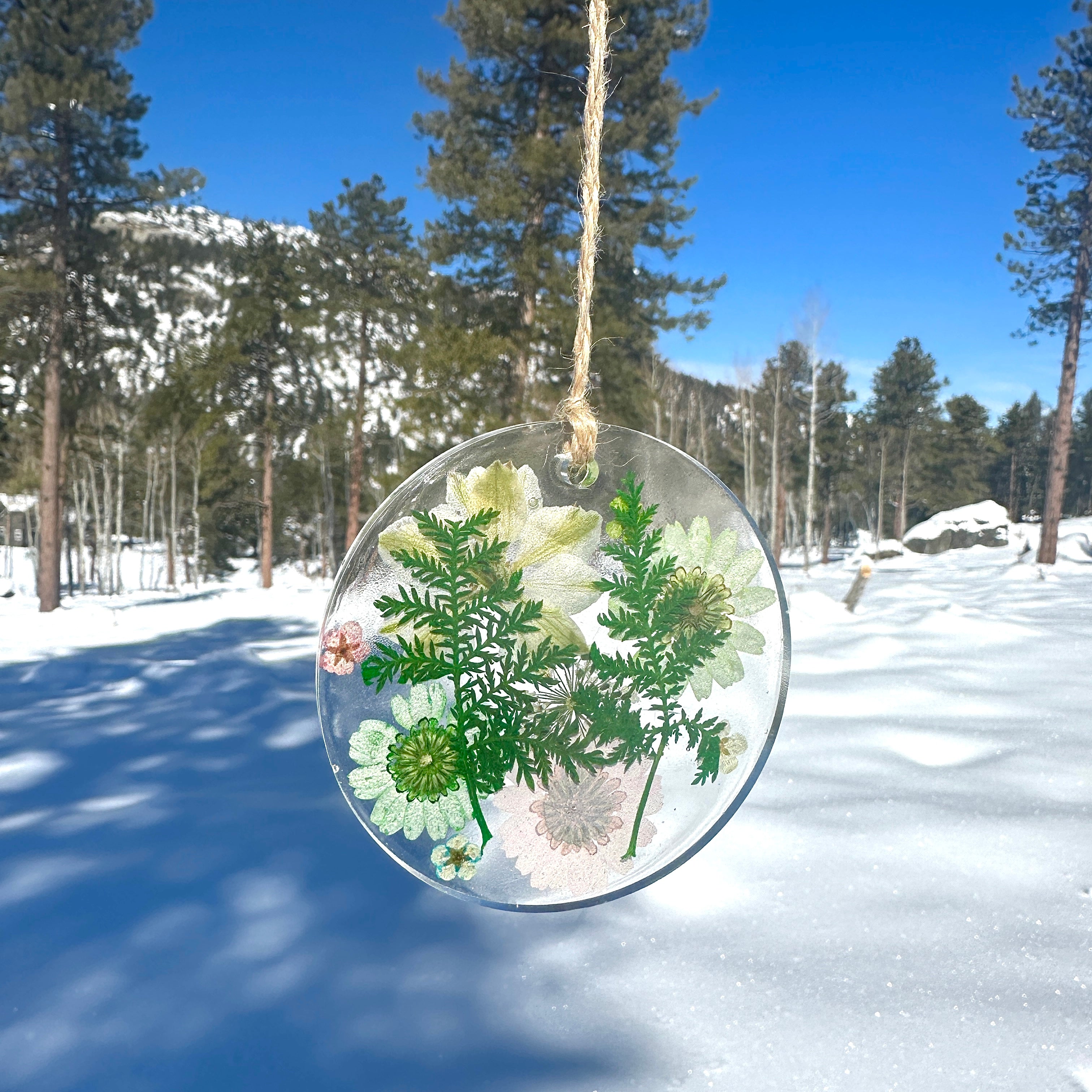 Botanical Garden Ornament - BG 232