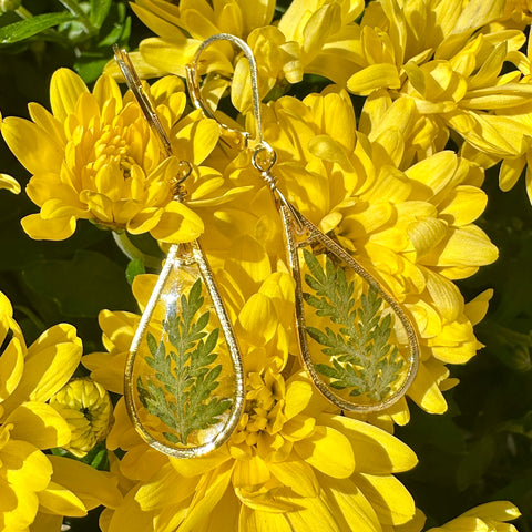 Natural Fern Earrings - BG 305
