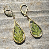 Natural Fern Earrings - BG 305
