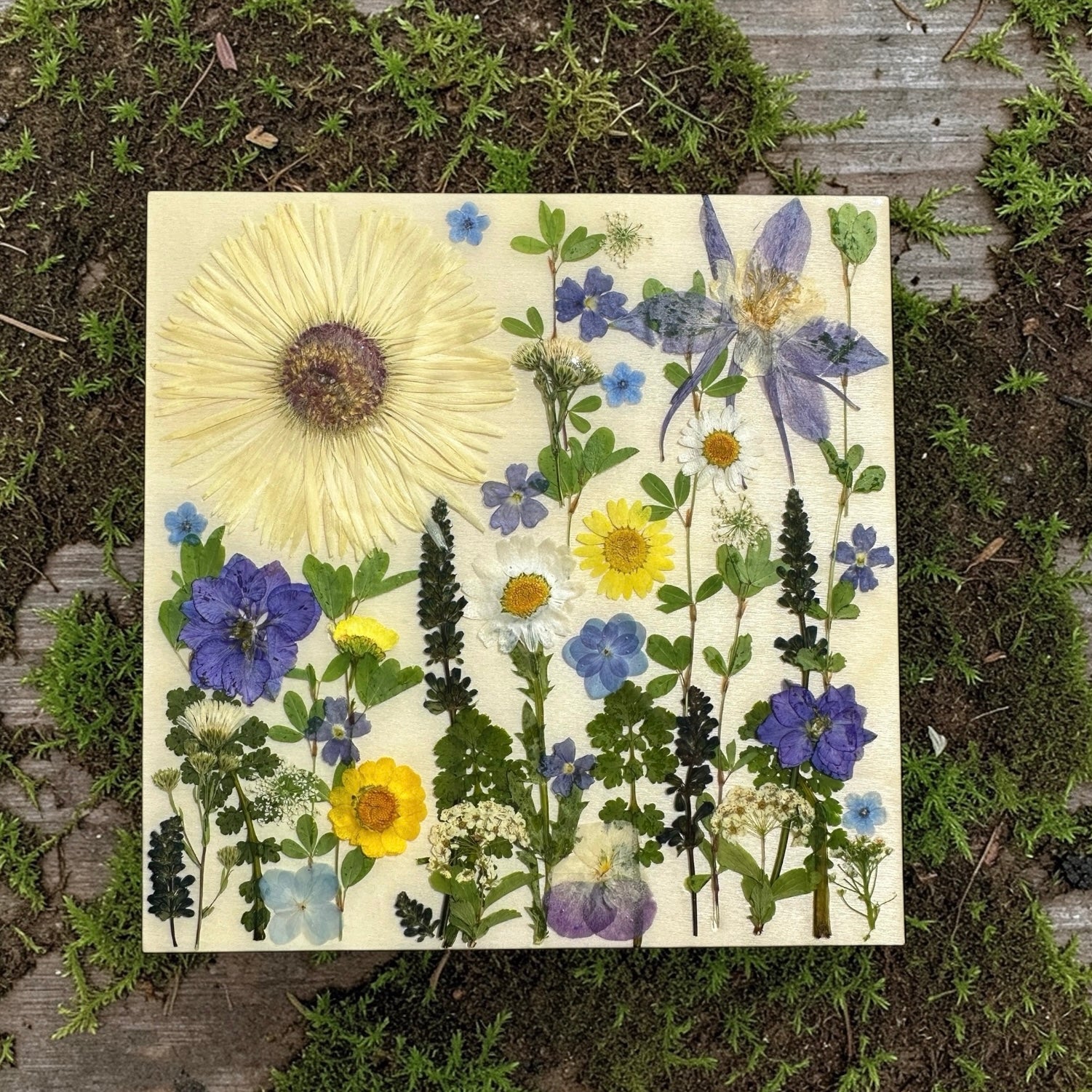 Botanical Garden Art - BG 360