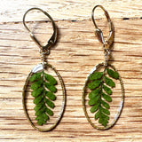 Fern Earrings - BG 145