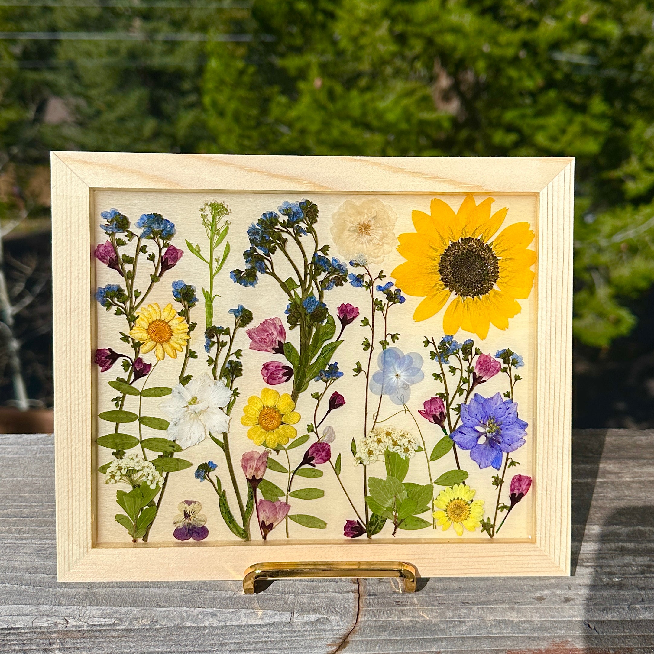 Botanical Garden Art - BG 385