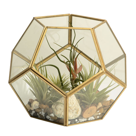 Modern Elegance - Geometric Gold Glass Terrarium