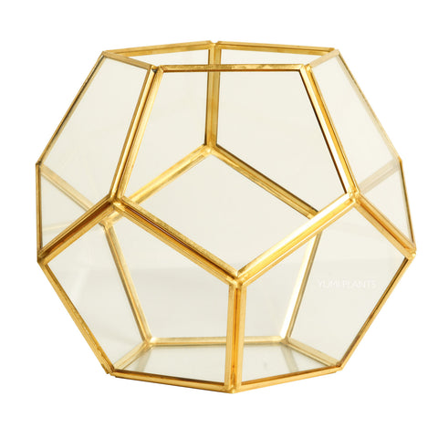 Geometric Gold Glass Terrarium
