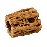 Cholla Cactus Wood Planter