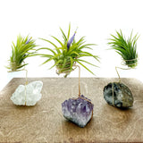 Geode Crystal Plant Holder + Plant