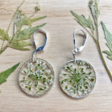 Queen Anne’s Lace Flower Earrings - BG46