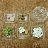 3" Quartz Bubble Terrarium