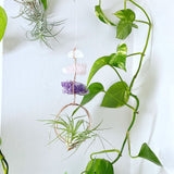 Gemstone Air Plant Mobile