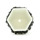 Black Onyx Gemstone Planter + Air Plant