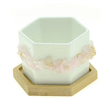 Pink Rose Quartz Gemstone Planter + Air Plant